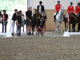 IMG_1090_web